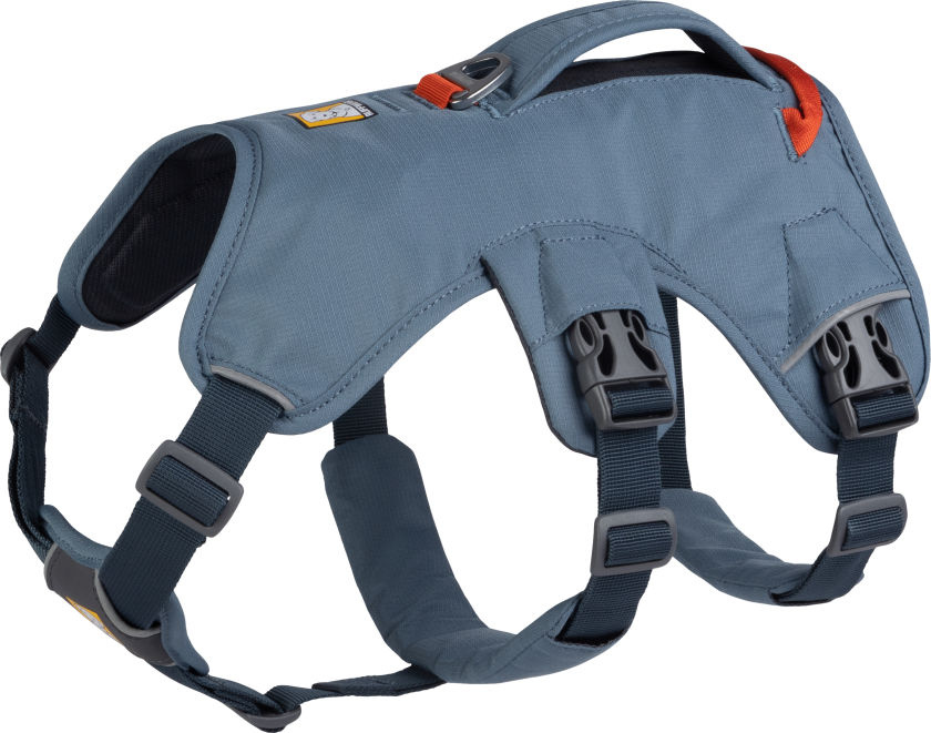 Web Master Harness Hundesele Slate Blå XXS