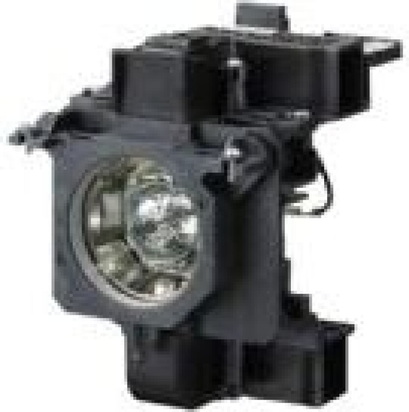 - Projektorlampe - 330 watt - 4000 time(r) - for P/N: PT-EW630UL, PT-EX500U, PT-EX500UL, PT-EX600U, PT-EX600UL, PT-EZ570U, PT-EZ570UL