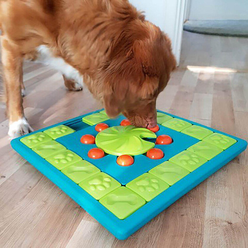 Bilde av Nina Ottosson Dog Multi Puzzle Grønn