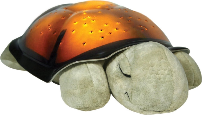 - Twilight Turtle Classic (CB7323-ZZ)