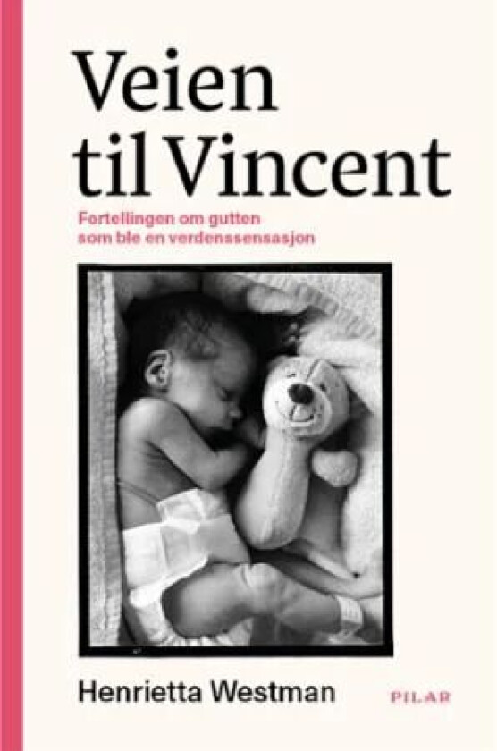 Veien til Vincent av Henrietta Westman