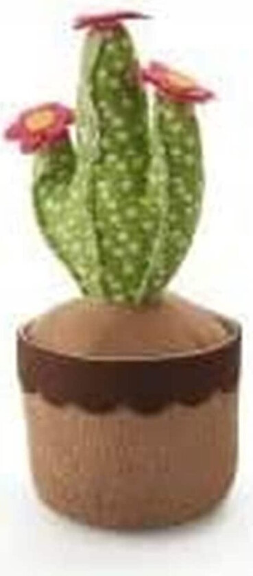 Dørstopper Inofix Dører Cactus Green