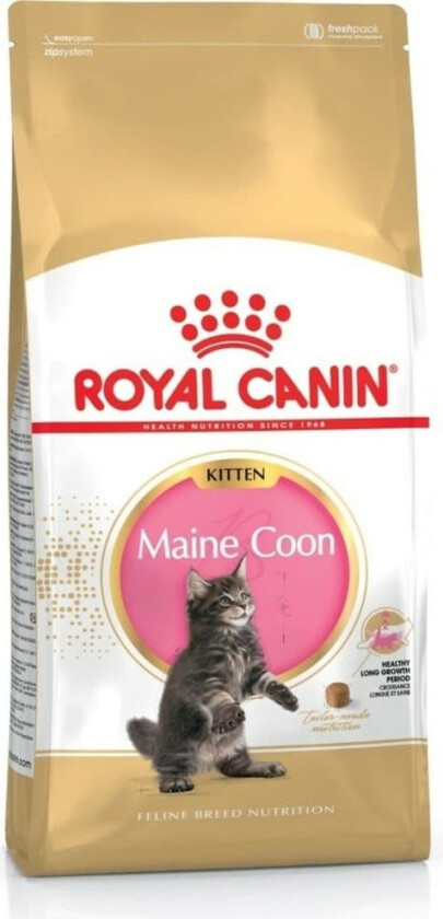 Royal Canin Maine Coon Kitten (4 kg)