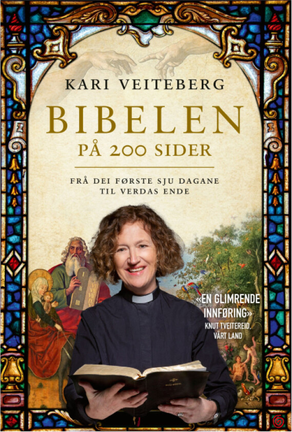 Bibelen på 200 sider av Kari Veiteberg