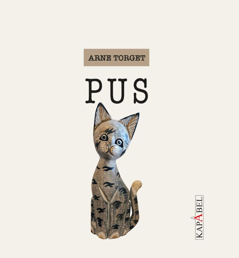 Pus av Arne Torget