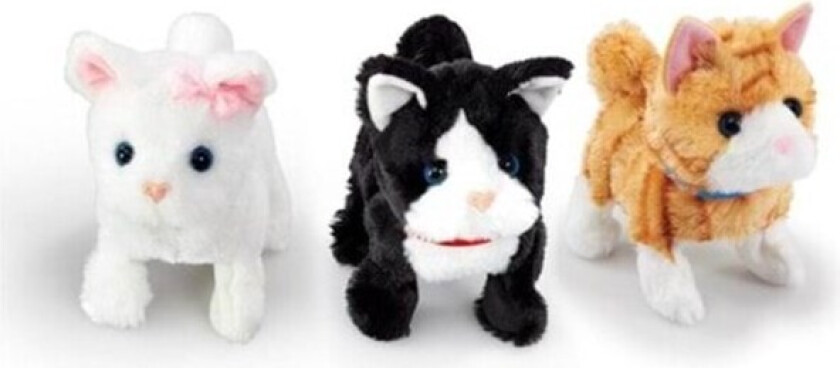 Pretty Little Kitty 3 (Assorted)