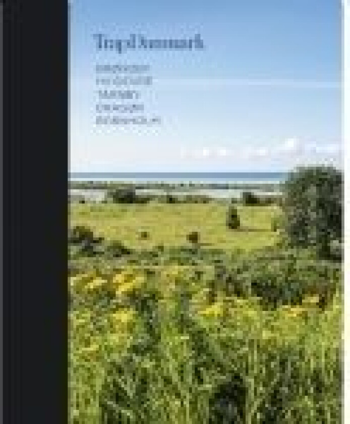Trap Danmark: Brøndby, Hvidovre, Tårnby, Dragør, Bornholm Trap Danmark Språk: Dansk