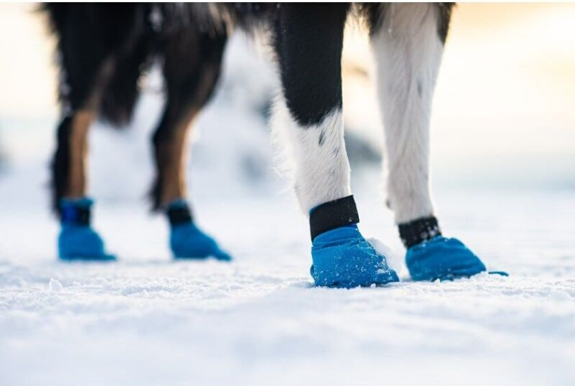 Bilde av Long Distance Bootie Potesokker Blå 4 pk XXS