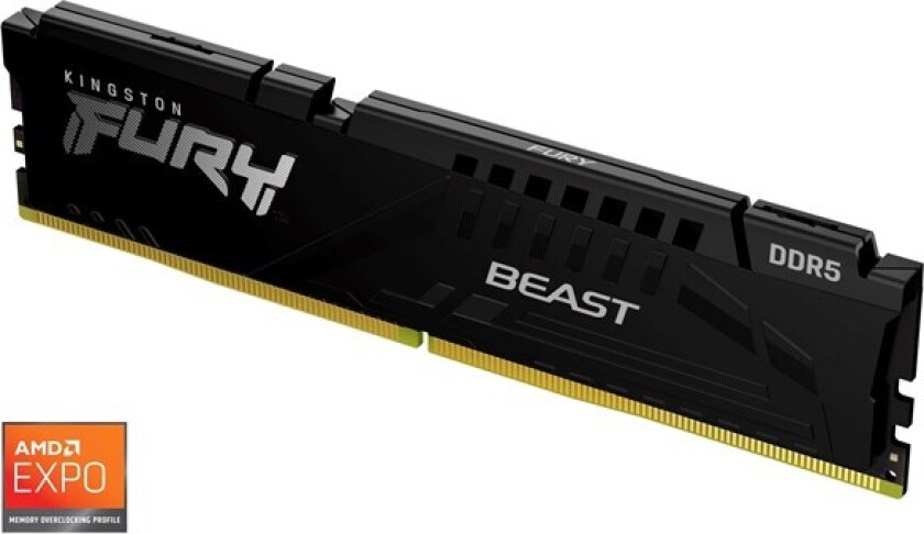 FURY Beast DDR5-5600 C36 SC - 16GB (AMD EXPO)