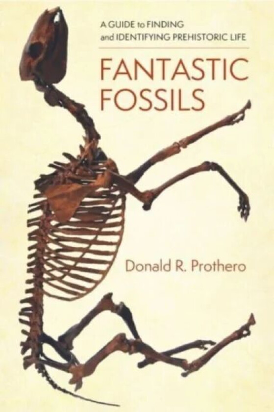 Fantastic Fossils av Donald R. Prothero