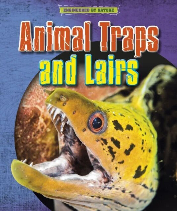 Animal Traps and Lairs av Louise Spilsbury, Richard Spilsbury