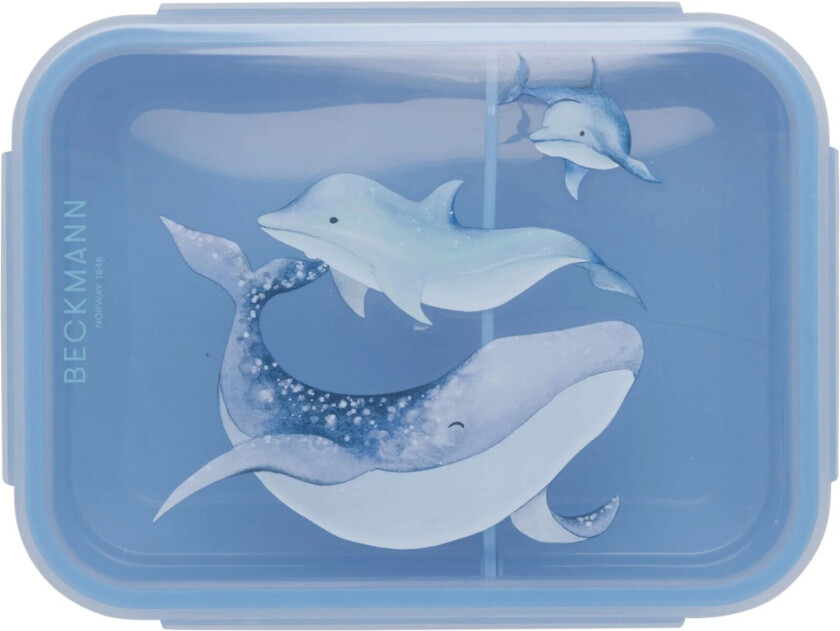 Matboks Ocean