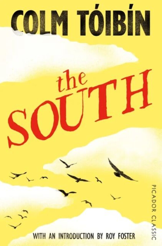 The South av Colm Toibin