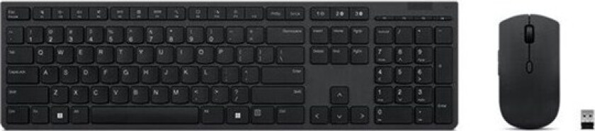 Professional - keyboard and mouse set - QWERTY - US English - grey - Tastatur & Mussett - US English - Grå