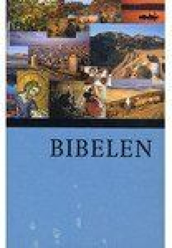 Bibelen med faktasider