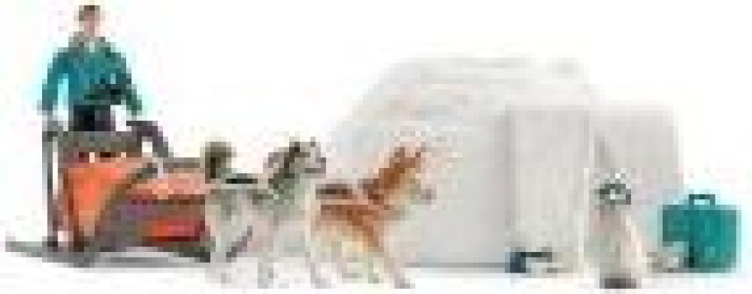 Antarctic Expedition