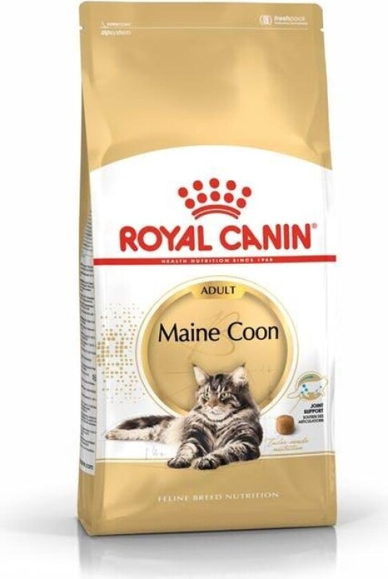 Royal Canin Maine Coon (10 kg)
