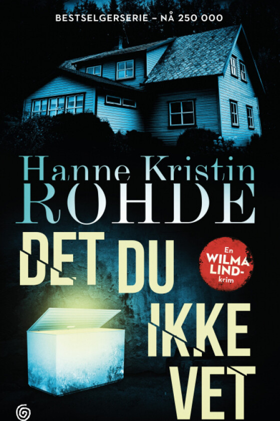 Det du ikke vet av Hanne Kristin Rohde