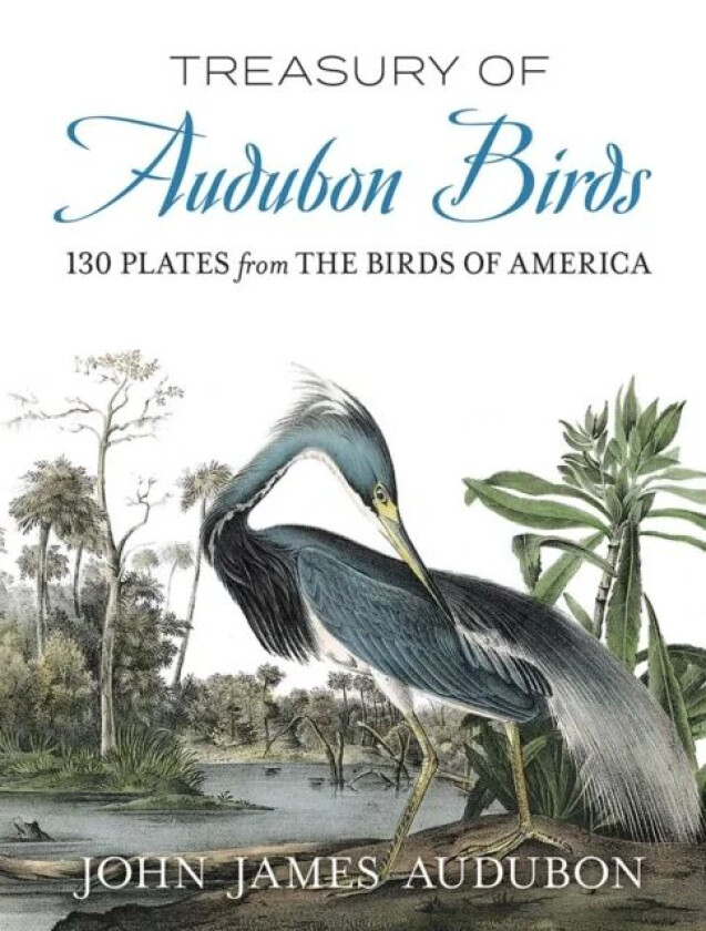 Treasury of Audubon Birds av John James Audubon, Alan Weissman