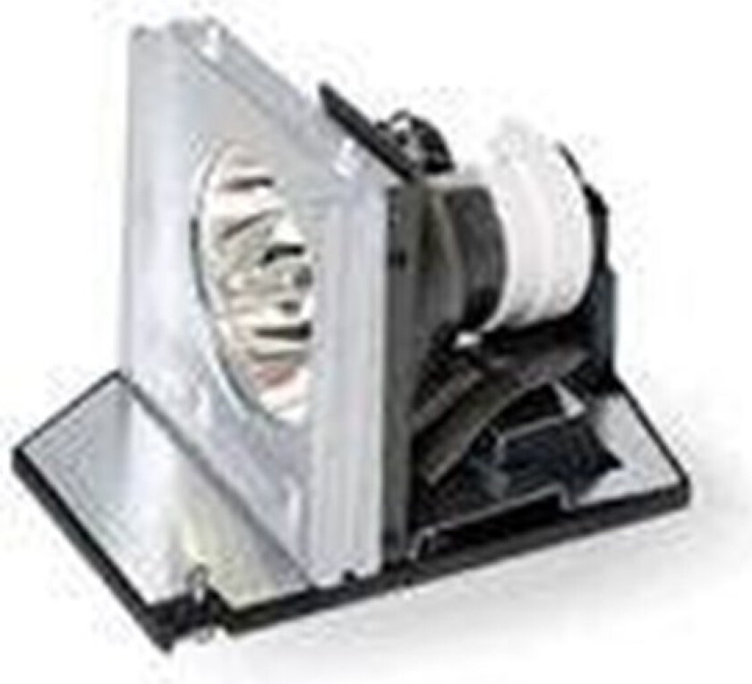 projektorlampe