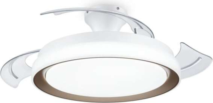 Lykke, vifte, runde, gull