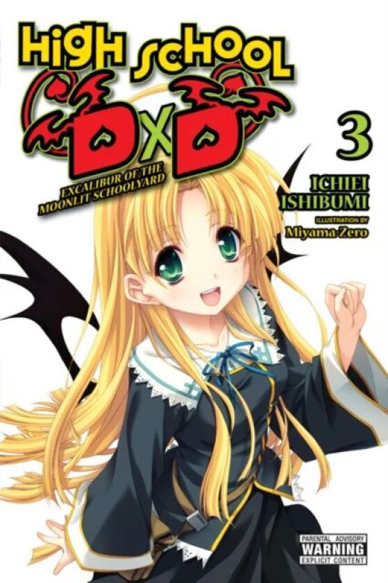 High School DxD, Vol. 3 (light novel) av Ichiei Ishibumi