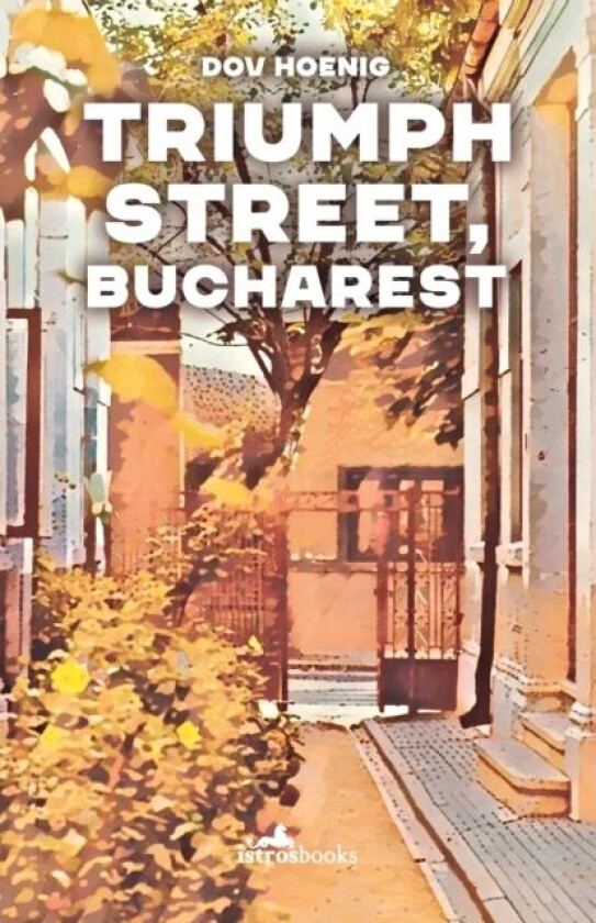 Triumph Street, Bucharest av Dov Hoenig