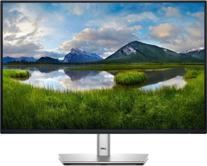 24" Dell P2425 - 1920x1080 (FHD) - 100Hz - IPS - USB 3.2 HUB - 5 ms - Skjerm