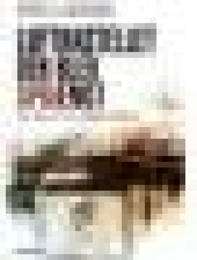 Luftkastellet der blev sprængt Stieg Larsson Språk: Dansk