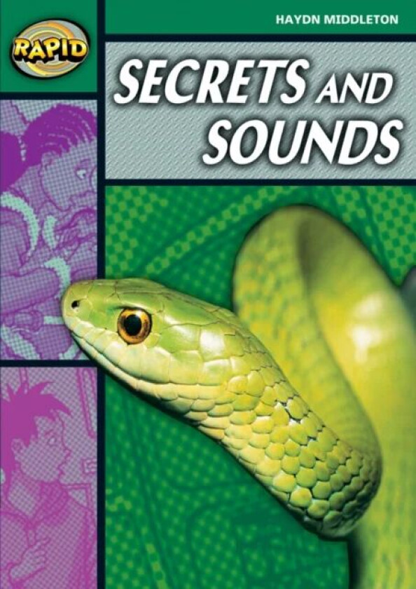 Rapid Reading: Secrets & Sounds (Stage 5, Level 5B) av Haydn Middleton