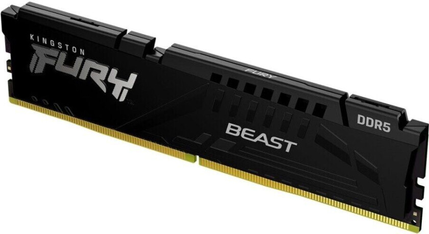 Fury Beast 16gb 5,200mhz Cl40 Ddr5 Sdram