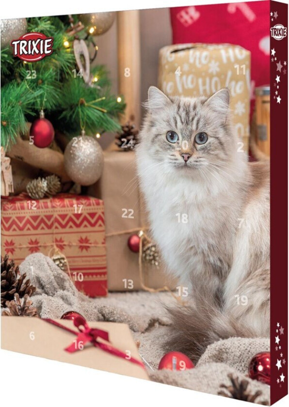 Advent Calendar for Cats