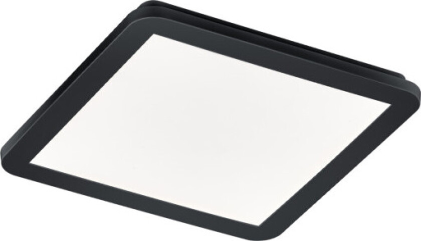 Camillus taklampe, sort, 30x30 cm