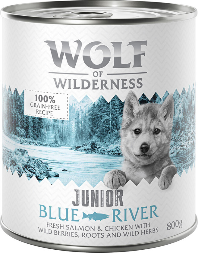 100 kr rabatt ! Økonomipakke Wolf of Wilderness 24 x 800 g - Junior Blue River - Kylling & Laks