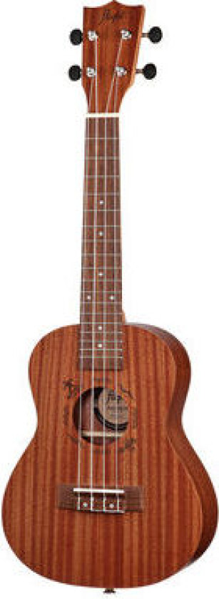 NUC 310 Concert Ukulele