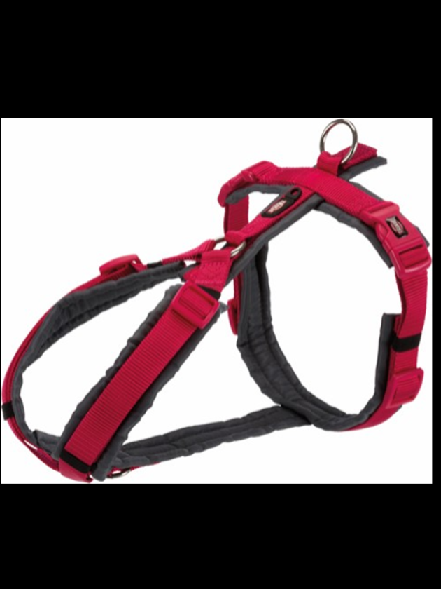 Premium Trekking Harness S-M: 44-53 cm/20 mm Fuchsia
