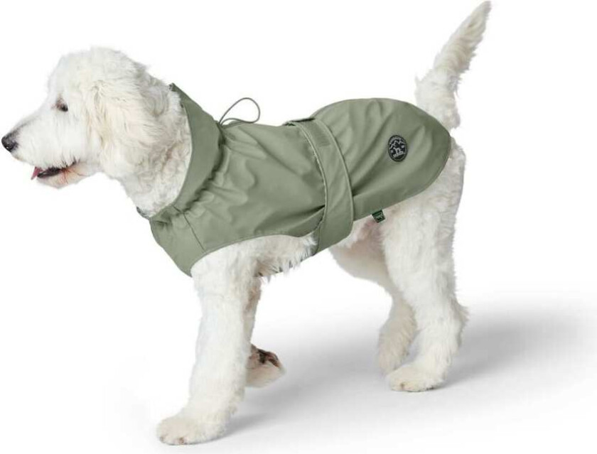 - Raincoat for dogs Milford 25, green - (69661)