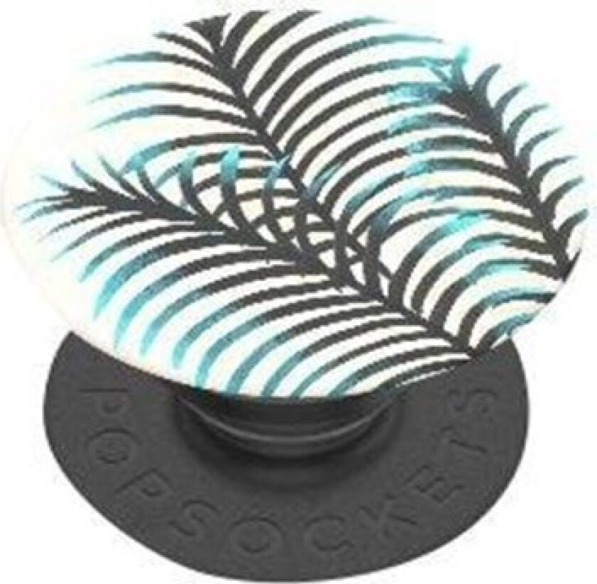 Pacific Palm