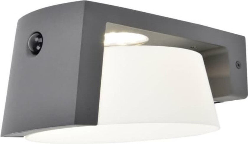 Lutec MOON 6906001118 Solcelle-udendørsvægbelysning 9.50 W Neutralhvid Antracit