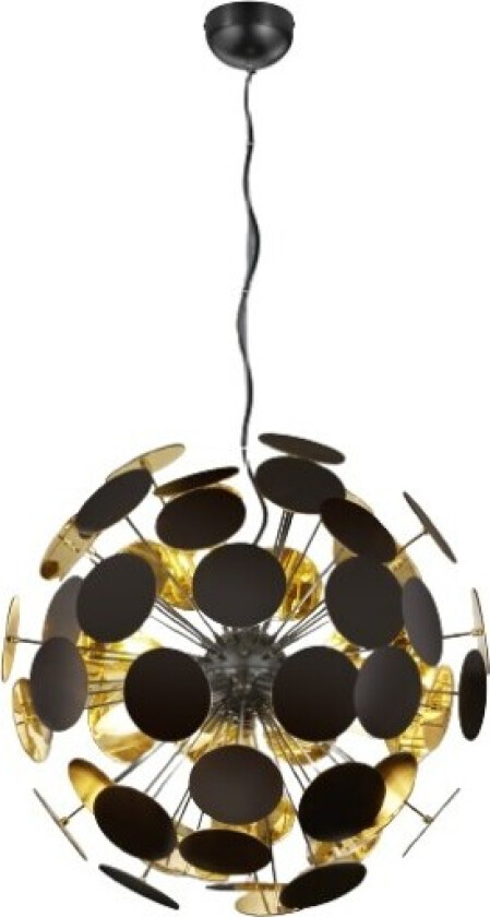 Discalgo pendel, sort