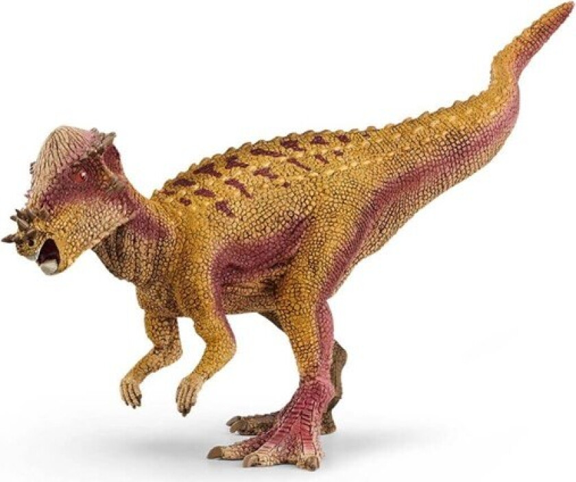 Pachycephalosaurus