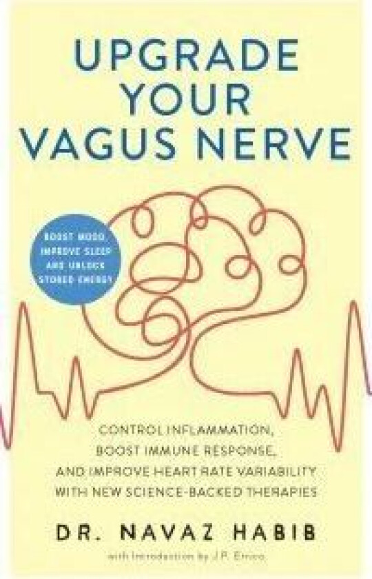 Upgrade Your Vagus Nerve av Navaz Habib, J.P. Errico