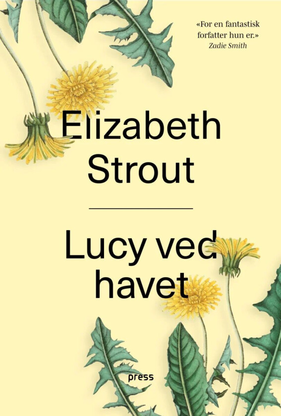 Lucy ved havet av Elizabeth Strout