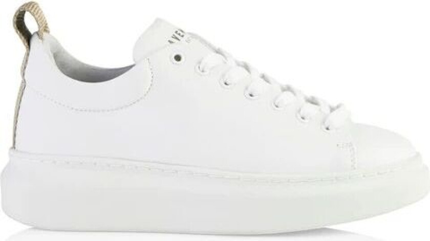 Dee - White Beige 36