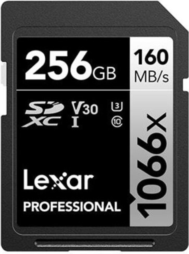 Professional Silver Series 256gb Sdxc Uhs-i Memory Card