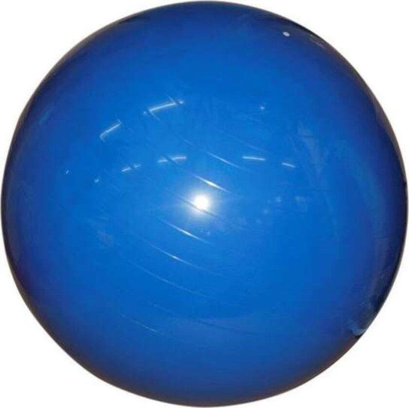 Gym-ball 55cm