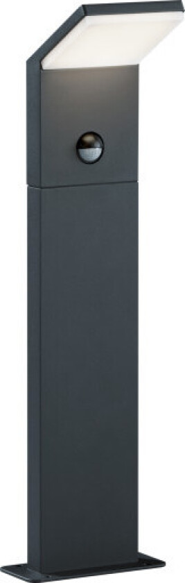 Pearl pullert med sensor, 50 cm