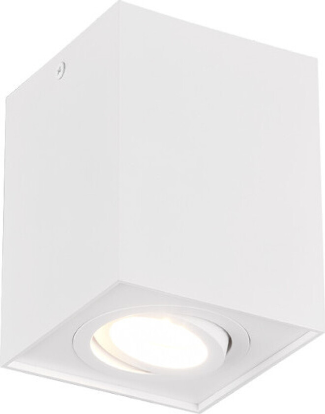 Biscuit taklampe, hvit