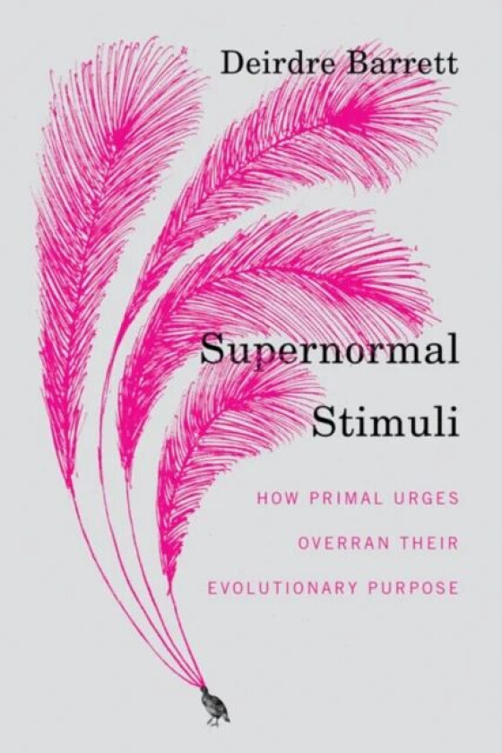 Supernormal Stimuli av Deirdre Barrett