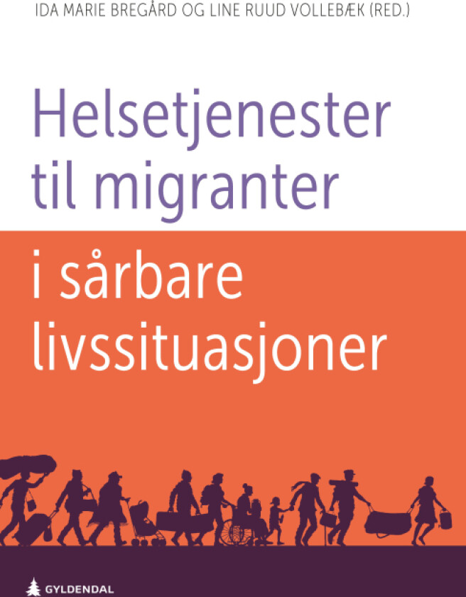 Helsetjenester til migranter i sårbare livssituasjoner